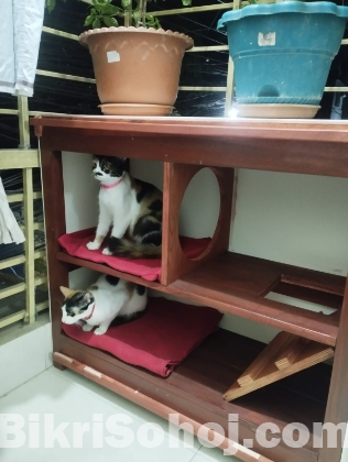 প্রিমিয়াম ক্যাট হাউস বিক্রয়